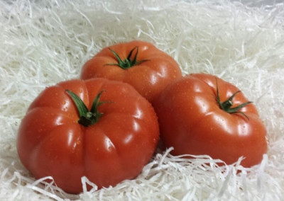 Beef Tomatoes