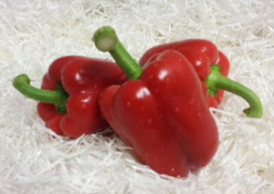 Red Bell Peppers