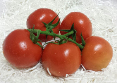 Bunch Tomatoes