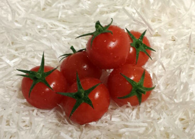 Cherry Tomatoes