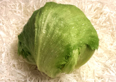 Iceberg Lettuce