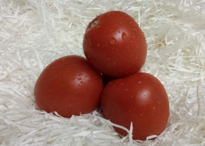 Plum Tomatoes