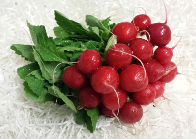Radish