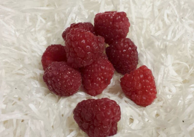 Raspberries