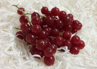 Red Currants