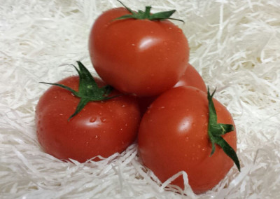 Round Tomatoes