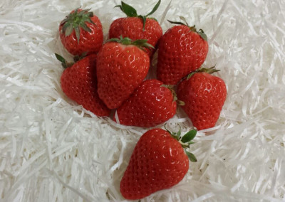 Strawberries